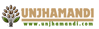 Website Logo